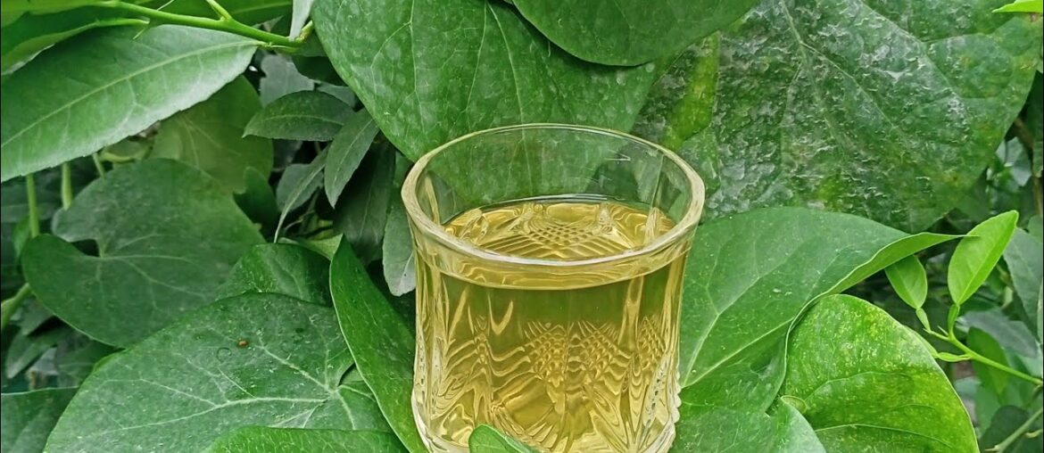 Giloy kadha /drink to boost your immune system and protect from Covid-19 & other diseases