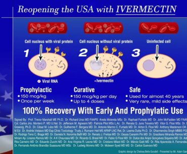 Welcome to my first English dog walk! Ivermectin cures everyone in 48 hours?!? Healthcare system