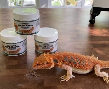 Fluker's Calcium Reptile Supplement with added Vitamin D3   4oz    Dry Pet Food   Pet S