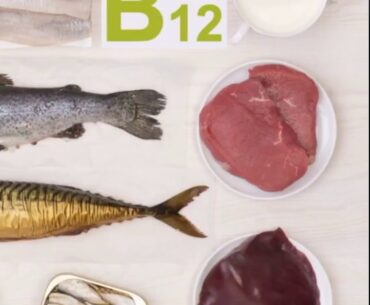 Foods High in Vitamin B12 for the Vegetarian or Vegan Child for Beginners