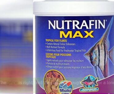 Nutrafin A6706 Max Tropical Fish Flakes, 7.58-Ounce