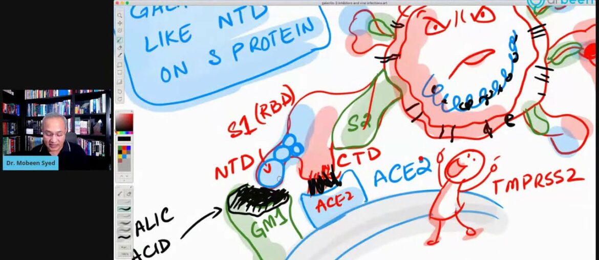 Galectin Inhibitors, Viral Infections, Inflammation