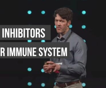 mTOR & Your Immune System, Viral Replication