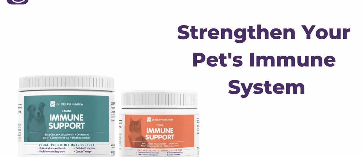 Immune Support | Strengthen Your Pet's Immune System | Pet Supplement | Dr. Bill's Pet Nutrition