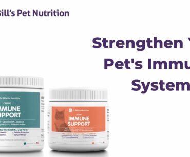 Immune Support | Strengthen Your Pet's Immune System | Pet Supplement | Dr. Bill's Pet Nutrition