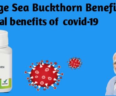 #Sea #buckthorn benefit special benefit of covid19  vidoe in#hindi by Narendra modi