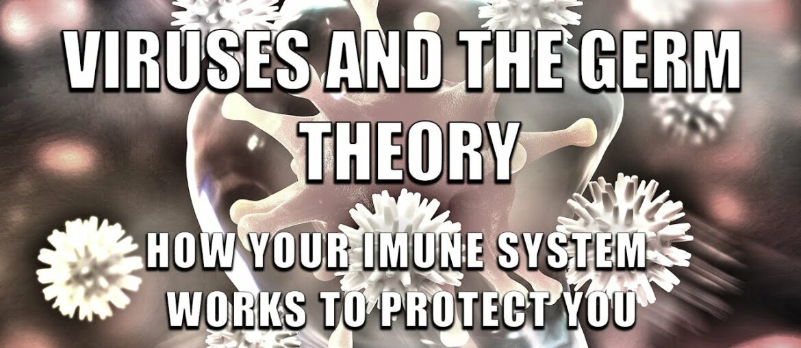 Viruses and the Germ Theory - How your Immune System Works to Protect You 2020