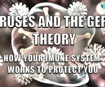 Viruses and the Germ Theory - How your Immune System Works to Protect You 2020