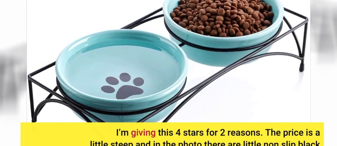 Y YHY Cat Water Bowl,Raised Cat Food Dish,Elevated Cat Bowl No Spill,Ceramic Pet Bowls for Cats...