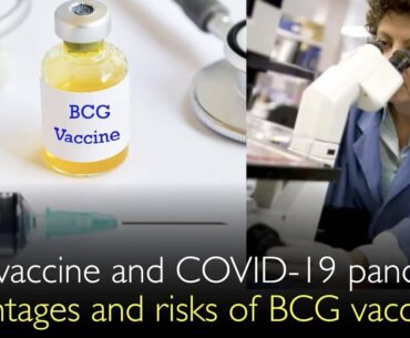 8 BCG vaccine and COVID-19: efficacy risks problems