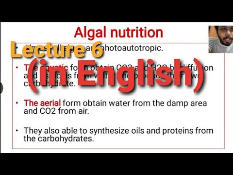 Algae Lecture 6 : (Algal Nutrition) |