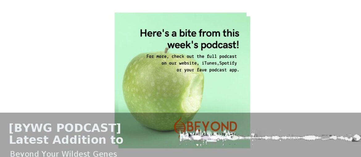 BYWG PODCAST Latest Addition to BYWG All Star Lineup---Vitamin C Boost