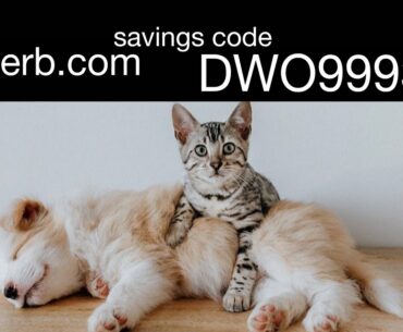 ( DWO9993 ) iHerb Rewards Code Promo Code Apply Promo code iHerb.com save money savings coupons