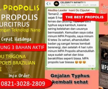 jual propolis brebes, jual propolis cibinong 0821 3028 2809 (WA)