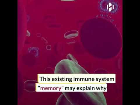 Common colds train the immune system to recognize COVID-19.