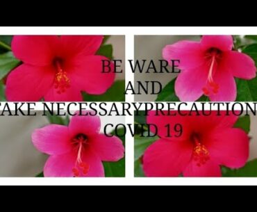 BE WARE AND TAKE NECESSARY PRECAUTIONS OF COVID 19