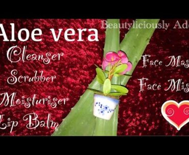 Ageless beauty with Aloe vera Cleanser,Scrubber,Moisturiser,Lip Balm,Face Mask & Face Mist DIY