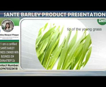 SANTE BARLEY PRODUCT PRESENTATION CMPinque