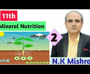 11th || Mineral Nutrition || part 2 by N.K Mishra sir || Mishra Classes ||