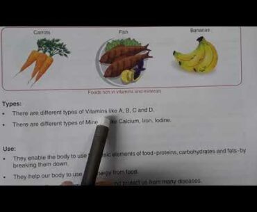 Class 5th Std | CBSE | Organ Systems and Diseases | Part 2 |