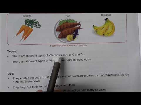 Class 5th Std | CBSE | Organ Systems and Diseases | Part 2 |