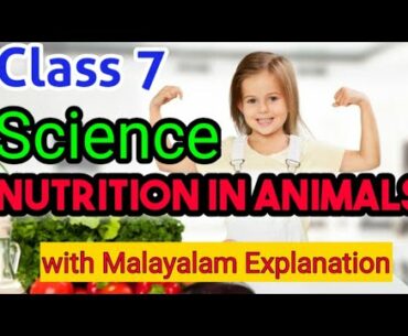 NUTRITION IN ANIMALS Ncert Class 7 Science Chapter  2 / CBSE Biology std 7 in Malayalam