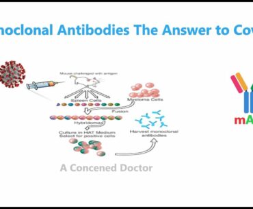 A Concerned Doctor: Are Monoclonal Antibodies The Answer to Covid-19?