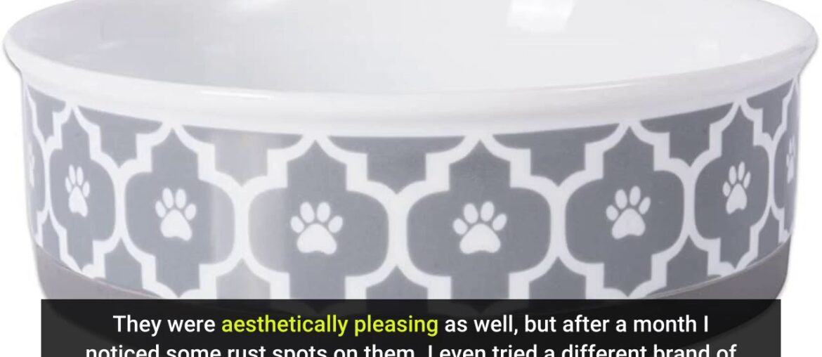 DII Bone Dry Lattice Ceramic Medium Pet Bowl for Food & Water, 6" Dia x 2" H Set of 2, with Non...