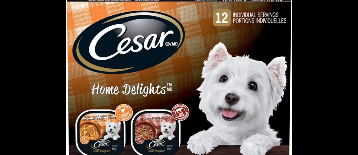 CESAR Filets in Sauce 12pack (New York Strip Flavour / Chicken & Garden Vegetable)