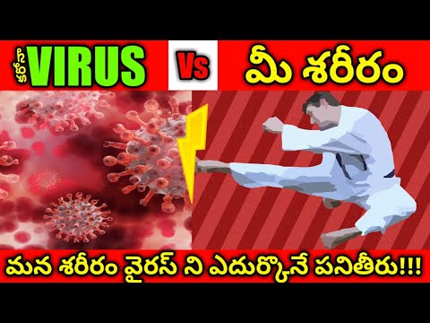 Immune Response: Virus vs Immune System Fight in Telugu|How immune system Works|by KABOOM FACTZ