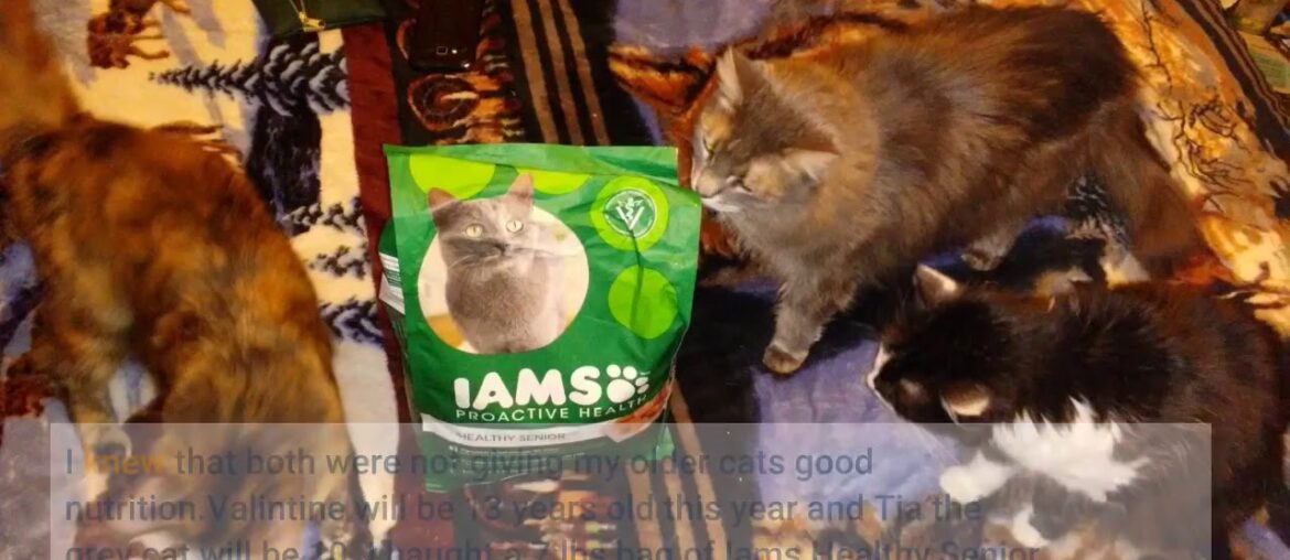 IAMs Proactive Health Dry Food for Cats - Senior - 1.59kg