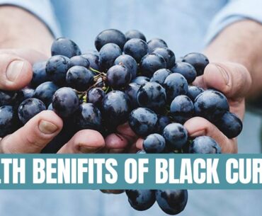 4 Amazing Health Benefits Of Black Currant.