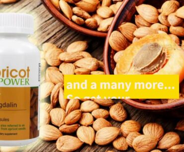 Proactive Lifestyle- Benefits of Apricot Seeds Vitamin B17