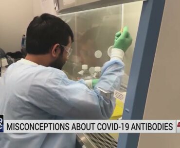 Triad researchers say key to defeating COVID-19 is group immunity, not antibodies