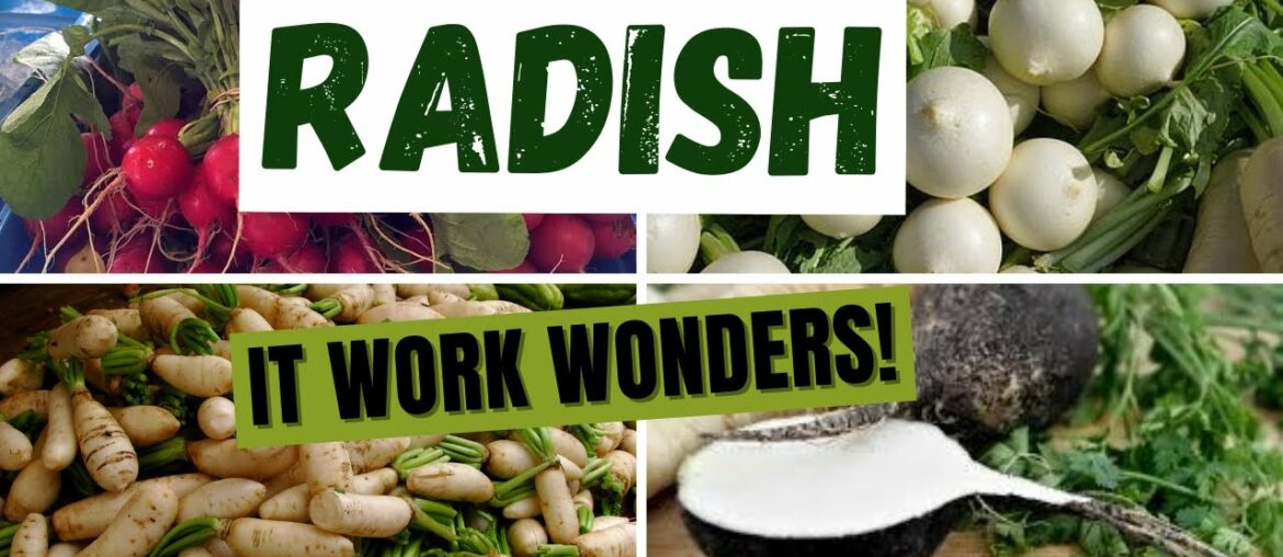 What You Didn't Know About Radish