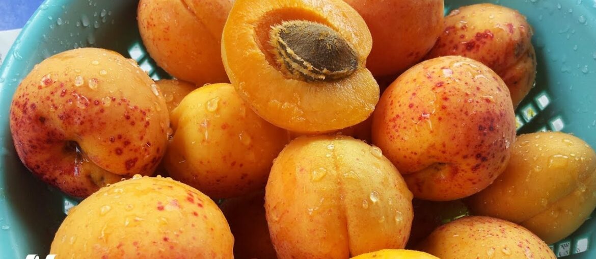 Does Laetrile (Amygdalin or Vitamin B-17) Work as an Alternative Cancer Cure?