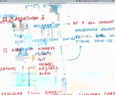 COVID-19 Pathophysiology Recap