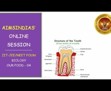 6TH | BIOLOGY | NUTRITION - OUR FOOD | PART 04 | AIMS-INDIA