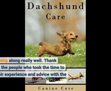 Dachshunds - The Owner's Guide From Puppy To Old Age - Choosing, Caring for, Grooming, Health,...