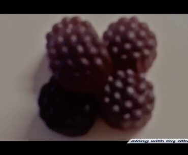 Immunity Sambucus Elderberry Gummies for Adults - Black Elderberry Gummy Metabolism Booster wit...