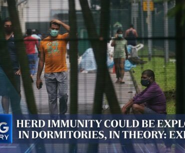 Herd immunity could be explored in dormitories, in theory: Expert | THE BIG STORY