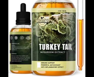 Turkey Tail Mushroom Supplements - Comprehensive Immune System Support & Mood Improvement - Org...