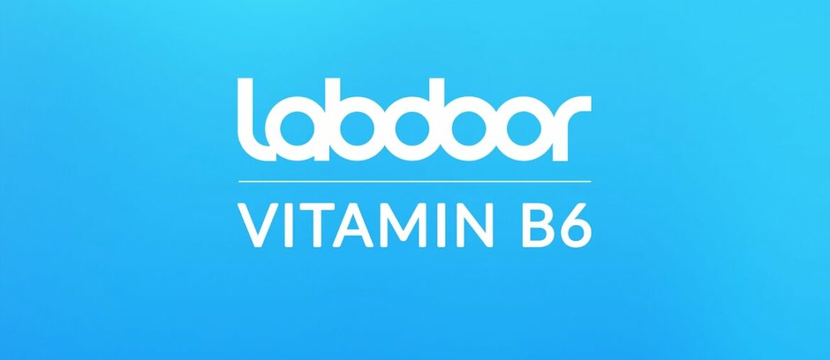 2016 VITAMIN B6 Supplements Buyers Guide | LABDOOR