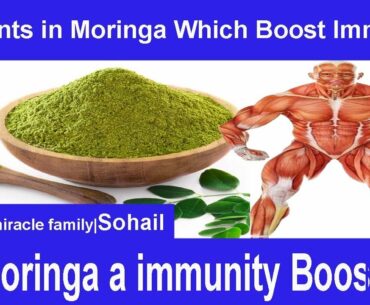 How moringa boost immunity|Moringa naturally immunity booster|Immunity booster food ,vitamins,minral