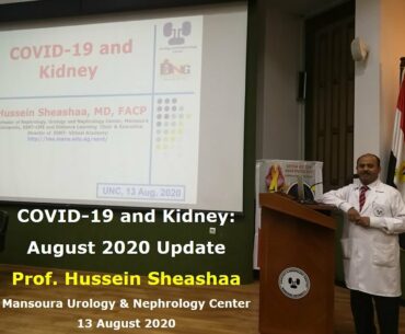 COVID-19 and Kidney: August 2020 Update, Prof. Hussein Sheashaa, Mansoura UNC, 13 August 2020