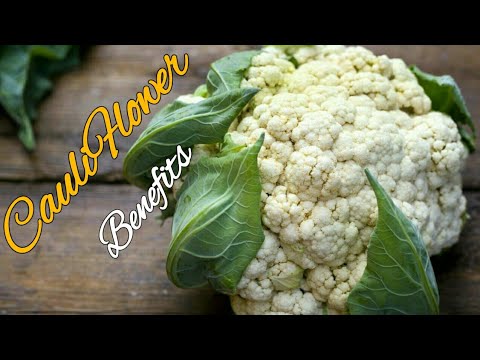 health benefits of cauliflower | cauliflower ear | nutritional benefits of cauliflower | perk