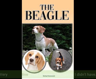 Beagles - The Owner's Guide from Puppy to Old Age - Choosing, Caring for, Grooming, Health, Tra...