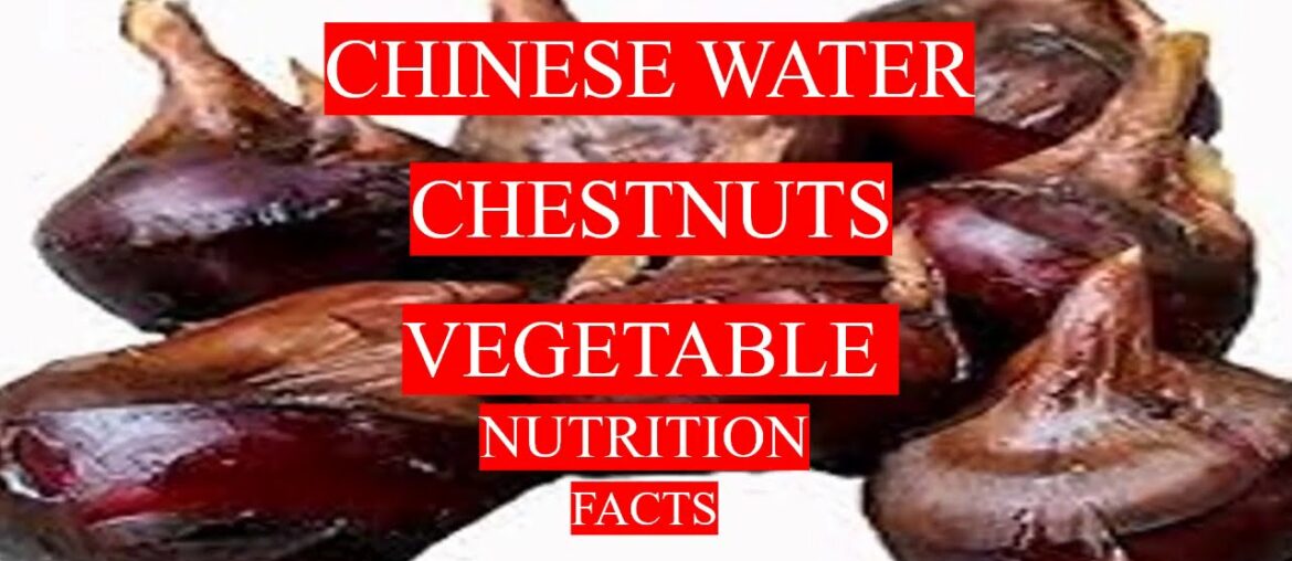 CHINESE WATER CHESTNUTS  - HEALTH BENEFITS AND NUTRITION FACTS