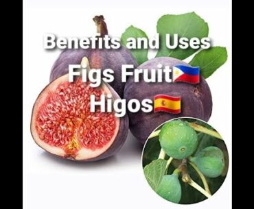 Figs Fruit | Benefits and Uses