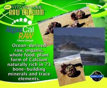 Garden of Life Raw Calcium Supplement - Vitamin Code Whole Food Calcium Vitamin for Bone Hea Reviews